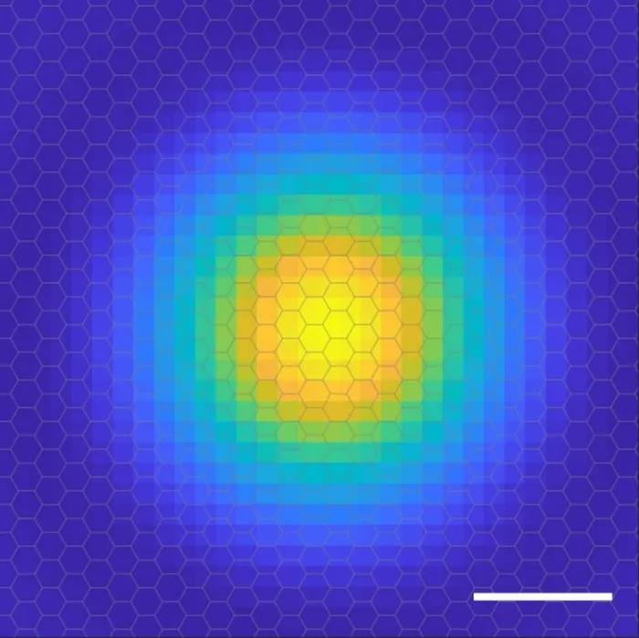 Et århundrede efter at være blevet opdaget, har mennesker for første gang fanget elektronomløbsbilledet af excitoner